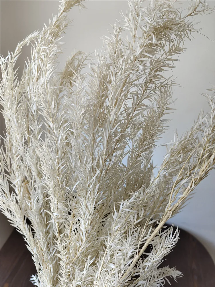 90g 60cm/Bundle Melaleuca Bracteata Bouquet Real Dried Natural Fresh Preserved Flowers Decorative Eternal Grass Home Decor
90g 60cm/Bundle Melaleuca Bracteata Bouquet Real Dried Natural Fresh Preserved Flowers Decorative Eternal Grass Home Decor