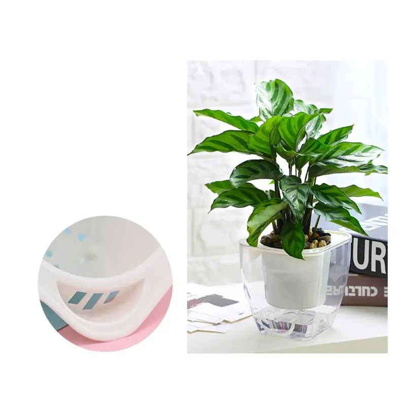 1PC Flower Plastic Pot Self Watering Plant Flower Pot Automatic Water Absorption 57BB
1PC Flower Plastic Pot Self Watering Plant Flower Pot Automatic Water Absorption 57BB