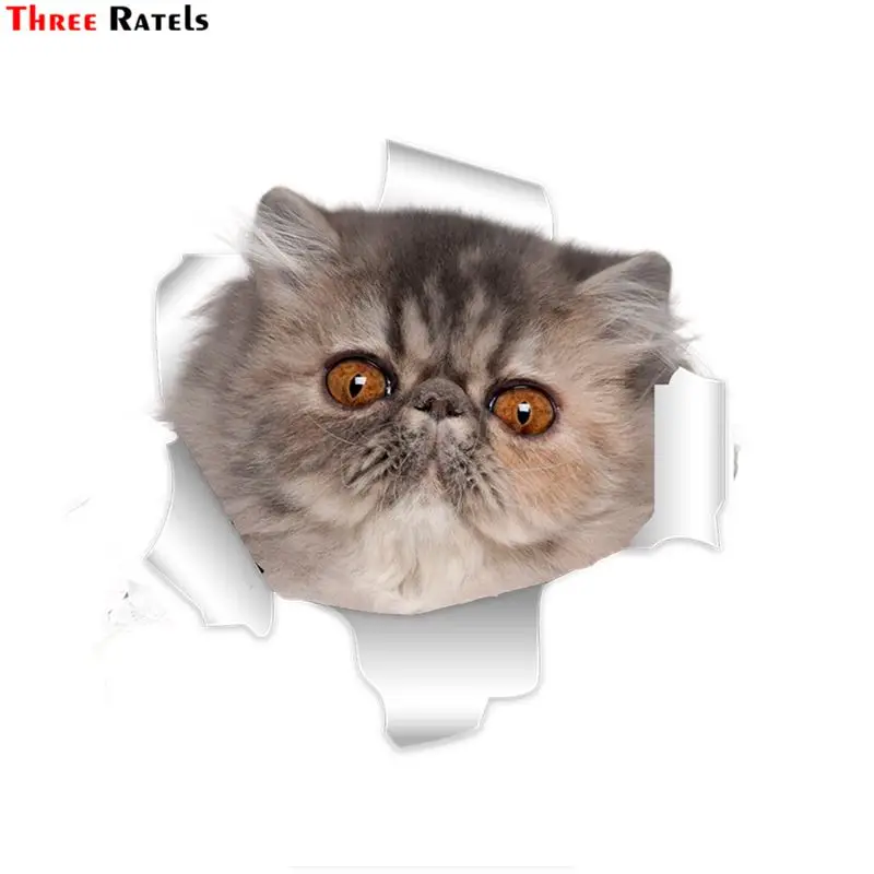 Наклейки на стену в виде 3D Персидского кота
Наклейки на стену в виде 3D Персидского кота