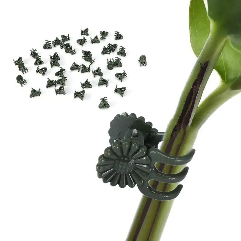 New 50PCS Quality Plants Graft Clips Plastic fixing fastening Fixture clamp Garden Tools for Cucumber Eggplant Watermelon
New 50PCS Quality Plants Graft Clips Plastic fixing fastening Fixture clamp Garden Tools for Cucumber Eggplant Watermelon