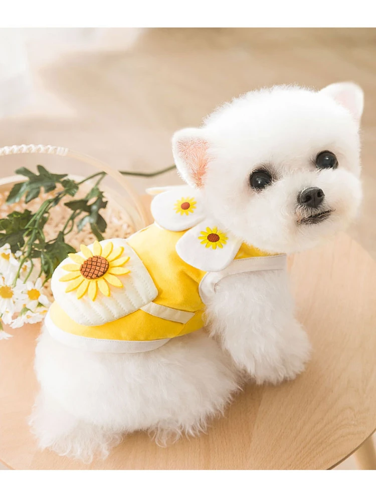 Summer Dog Cothes for Small Dogs Girl Boy Cute Sunflower T-shirt Vest for Cats Pet Clothes for Kitten,Large Dogs XS-2XL
Summer Dog Cothes for Small Dogs Girl Boy Cute Sunflower T-shirt Vest for Cats Pet Clothes for Kitten,Large Dogs XS-2XL