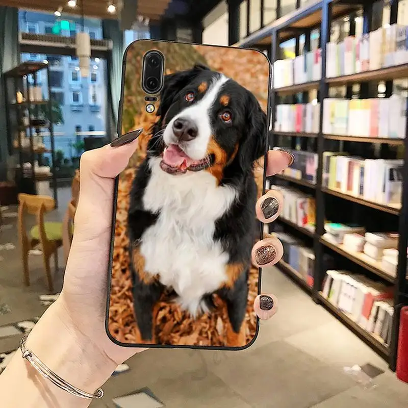 Bernese Mountain Dog animal Phone Case For Huawei honor Mate P 10 20 30 40 Pro 10i 9 10 20 8 x Lite
Bernese Mountain Dog animal Phone Case For Huawei honor Mate P 10 20 30 40 Pro 10i 9 10 20 8 x Lite