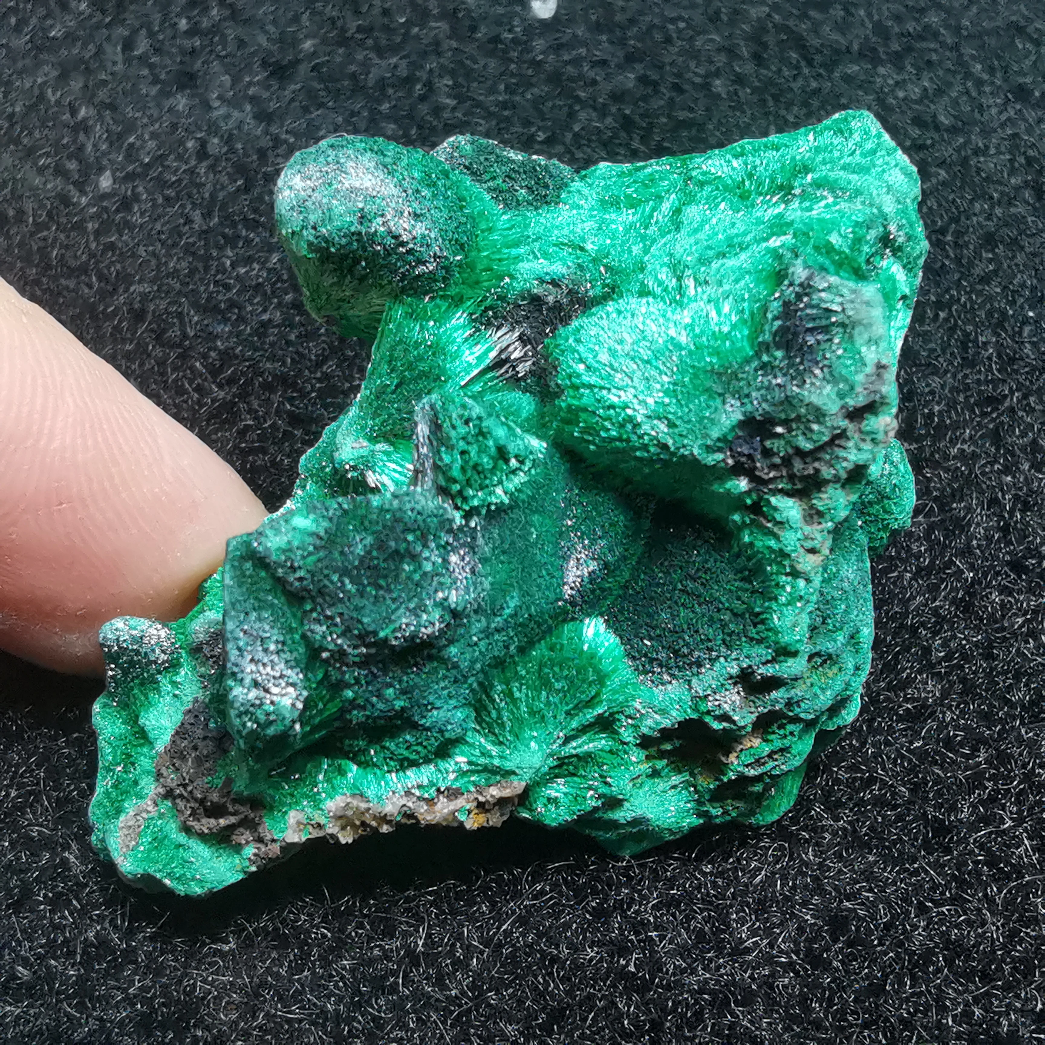 29.1gNatrliche Nadel geformt Malachite Landschaft grner Stein quadratische Mineralproben Heilung Steinaura Hausdekoration
29.1gNatrliche Nadel geformt Malachite Landschaft grner Stein quadratische Mineralproben Heilung Steinaura Hausdekoration