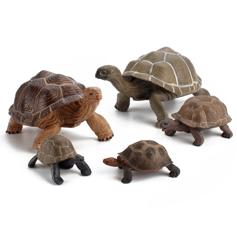 A New Simulation Model Of Mini Animal Tortoise Children Science Cognition Furnishing Articles Education Toys For Baby Kids Gift
A New Simulation Model Of Mini Animal Tortoise Children Science Cognition Furnishing Articles Education Toys For Baby Kids Gift