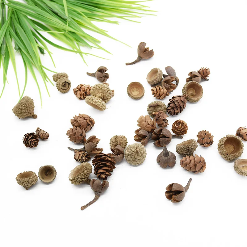10 Pieces Artificial pine cones Dried fruit Home decoration accessories for Christmas embellishment Wedding Gift Diy Photo props
10 Pieces Artificial pine cones Dried fruit Home decoration accessories for Christmas embellishment Wedding Gift Diy Photo props