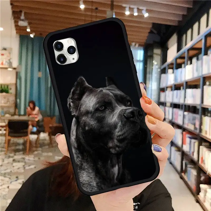 Чехол для телефона Pit Bull Lovely Dog Pitbull iPhone 11 12 pro MINI XS MAX 8 7 6 6S Plus X 5S SE 2020 XR|Бамперы| |