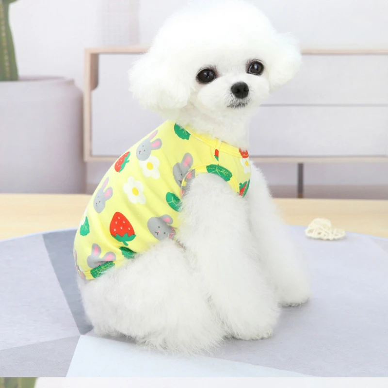 Summer Pet Clothes Cute Pineapple Rabbit Print Small Dog Vest Sleeveless Two-legged Shirt Dog Accessory Chihuahua ropa perro
Summer Pet Clothes Cute Pineapple Rabbit Print Small Dog Vest Sleeveless Two-legged Shirt Dog Accessory Chihuahua ropa perro