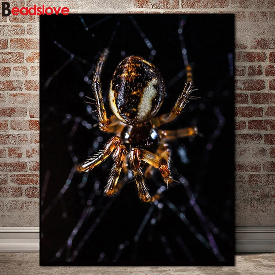 Full square Round drill Diamond embroidery Animal Spider 5D DIY diamond Painting Cross Stitch Rhinestones Decoration Mosaic art
Full square Round drill Diamond embroidery Animal Spider 5D DIY diamond Painting Cross Stitch Rhinestones Decoration Mosaic art