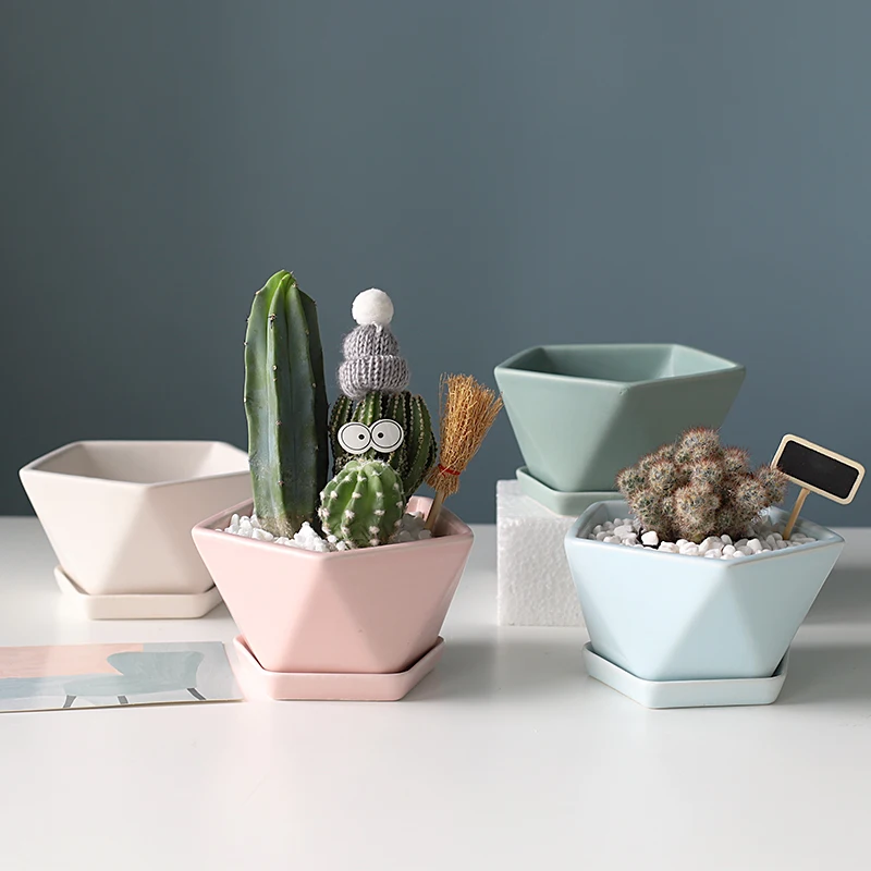 Pentagon ceramic pot flower with bracket Irregular Candy color flowerpot desk decoration succulent pots macetas de ceramica
Pentagon ceramic pot flower with bracket Irregular Candy color flowerpot desk decoration succulent pots macetas de ceramica