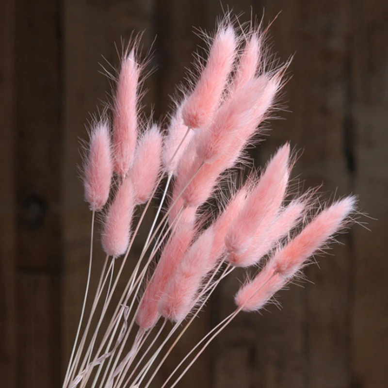 10pcs Sche Plantas Flores Pampa Droogbloem Para Decoracion Fleur De Pampas Grass Salon Bedroom Garden Decorativas Dried Flower
10pcs Sche Plantas Flores Pampa Droogbloem Para Decoracion Fleur De Pampas Grass Salon Bedroom Garden Decorativas Dried Flower