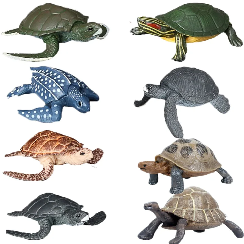 Marine Life Model Brazilian Tortoise Turtle Tortoise Sea Animal Simulation Doll Figurine Action Figure Toys for Children
Marine Life Model Brazilian Tortoise Turtle Tortoise Sea Animal Simulation Doll Figurine Action Figure Toys for Children