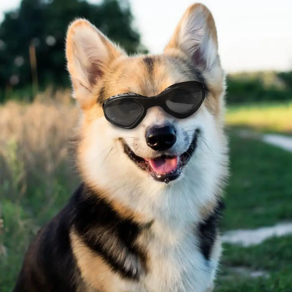 Pet очки Инновационный складной собака солнцезащитные очки "кошачий глаз", Одежда Щенок Защита Глаз Аксессуары для ухода за домашними животн...
Pet очки Инновационный складной собака солнцезащитные очки "кошачий глаз", Одежда Щенок Защита Глаз Аксессуары для ухода за домашними животн...