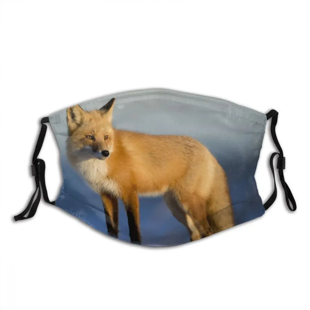 Animal Fox Non Disposable Print Mouth Face Mask with Filters Anti Haze Dustproof for Men Women Protection Cover Muffle for Adult
Animal Fox Non Disposable Print Mouth Face Mask with Filters Anti Haze Dustproof for Men Women Protection Cover Muffle for Adult