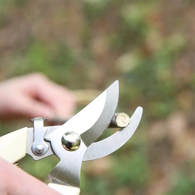 Stainless Steel Garden Scissors Grafting Tool Fruit Tree Pruning Shears Bonsai Pruners Garden Shears Gardening Secateurs Scissor
Stainless Steel Garden Scissors Grafting Tool Fruit Tree Pruning Shears Bonsai Pruners Garden Shears Gardening Secateurs Scissor