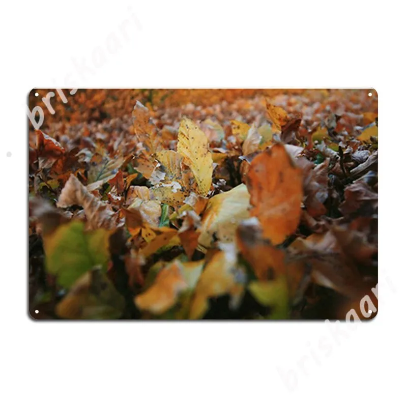 Autumn Leaves Metal Signs Customize Cinema Living Room Plaques Club Bar Tin sign Posters
Autumn Leaves Metal Signs Customize Cinema Living Room Plaques Club Bar Tin sign Posters