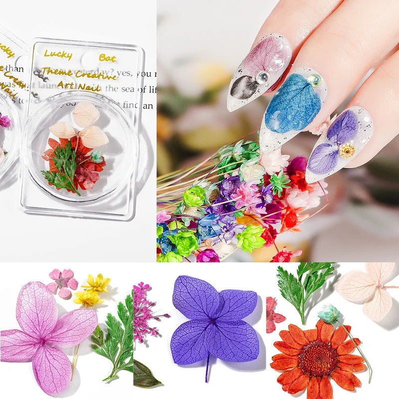 New nail dry flowers 5 real flowers, snow beads, daffodils mixed box nail small dry flower accessories DIY nails accessories
New nail dry flowers 5 real flowers, snow beads, daffodils mixed box nail small dry flower accessories DIY nails accessories