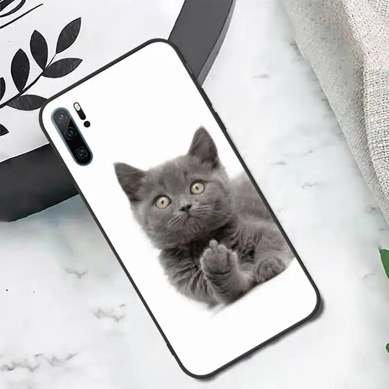 Cute kitten Phone Case For Huawei P20 P30 P40 lite Pro P Smart 2019 Mate 10 20 Lite Pro Nova 5t
Cute kitten Phone Case For Huawei P20 P30 P40 lite Pro P Smart 2019 Mate 10 20 Lite Pro Nova 5t