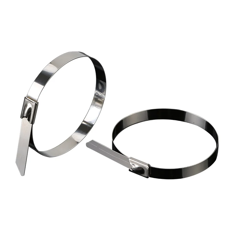 100Pcs 4.6x500mm Stainless Steel 304 Metal Cable Tie Width Zip Strap Locking Exhaust
100Pcs 4.6x500mm Stainless Steel 304 Metal Cable Tie Width Zip Strap Locking Exhaust