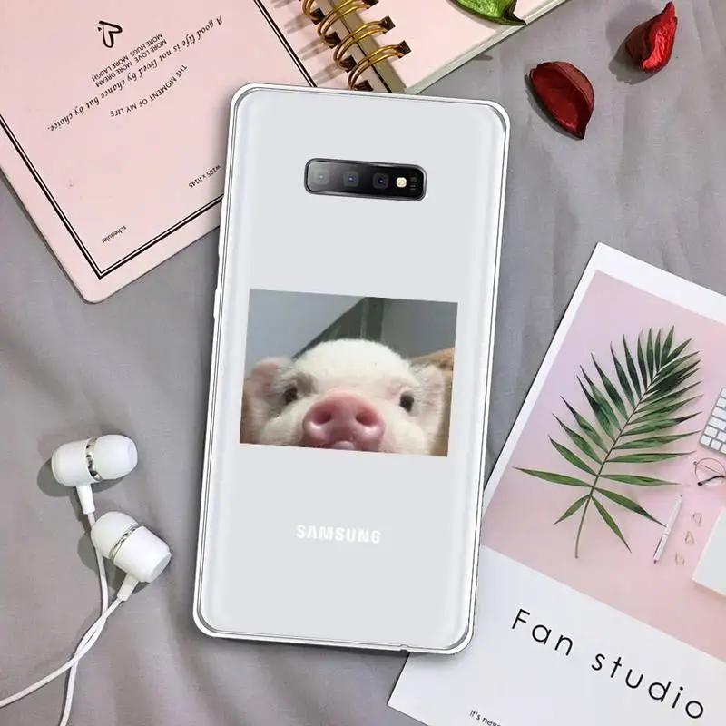 Cute Little Pink Pet Pig animl Phone Case Transparent For Samsung Galaxy A 71 21s S note 8 9 10 plus 20 ultra
Cute Little Pink Pet Pig animl Phone Case Transparent For Samsung Galaxy A 71 21s S note 8 9 10 plus 20 ultra