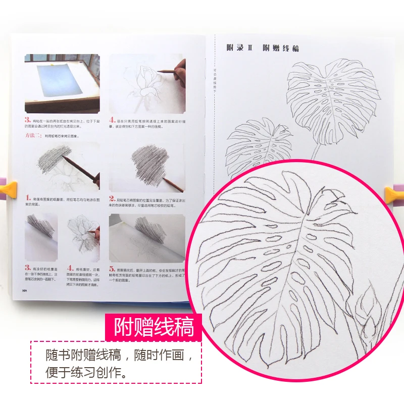 Color Pencil Flowers World Coloring Book Zero Based Learning Painting Books Art Sketch Drawing Tutorial Book
Color Pencil Flowers World Coloring Book Zero Based Learning Painting Books Art Sketch Drawing Tutorial Book