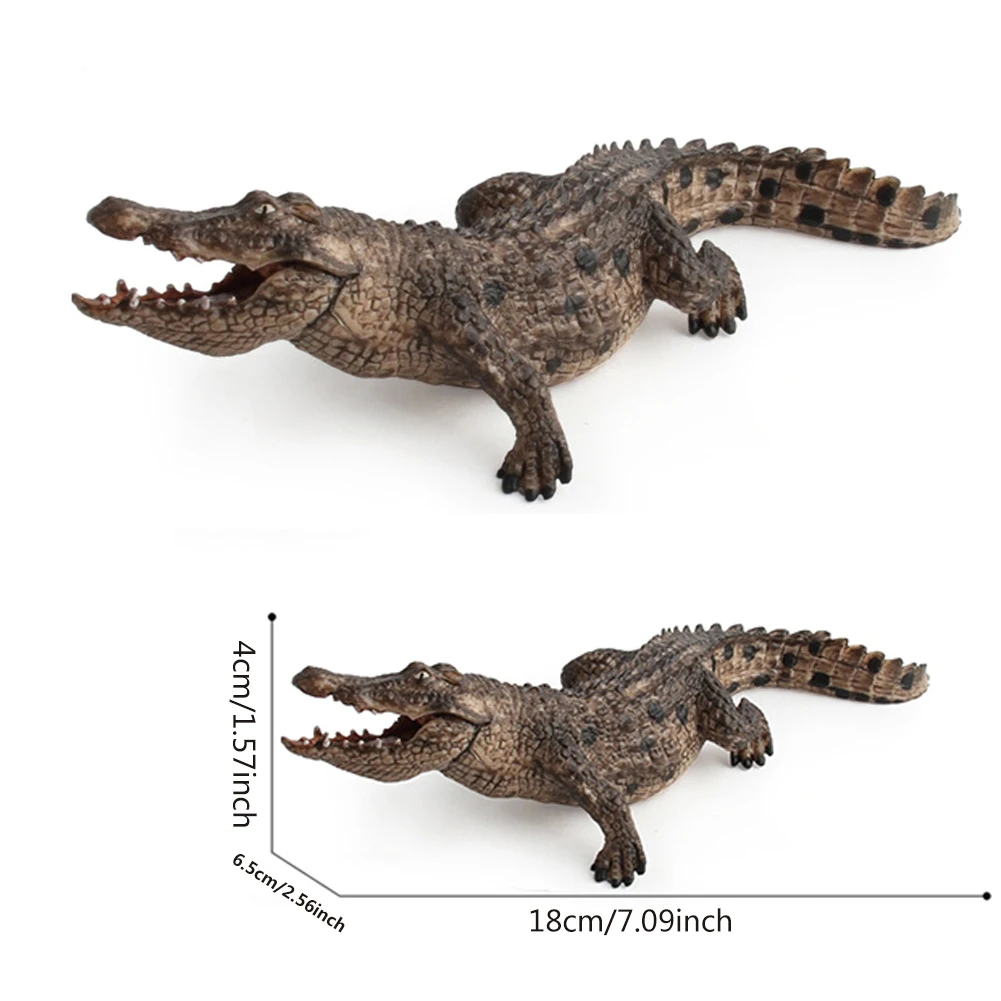 7.2inch Simulation Crocodile Figurine Animal Action Figure Toys For Children Plastic Wild Life Model Educational Figurine Gift
7.2inch Simulation Crocodile Figurine Animal Action Figure Toys For Children Plastic Wild Life Model Educational Figurine Gift