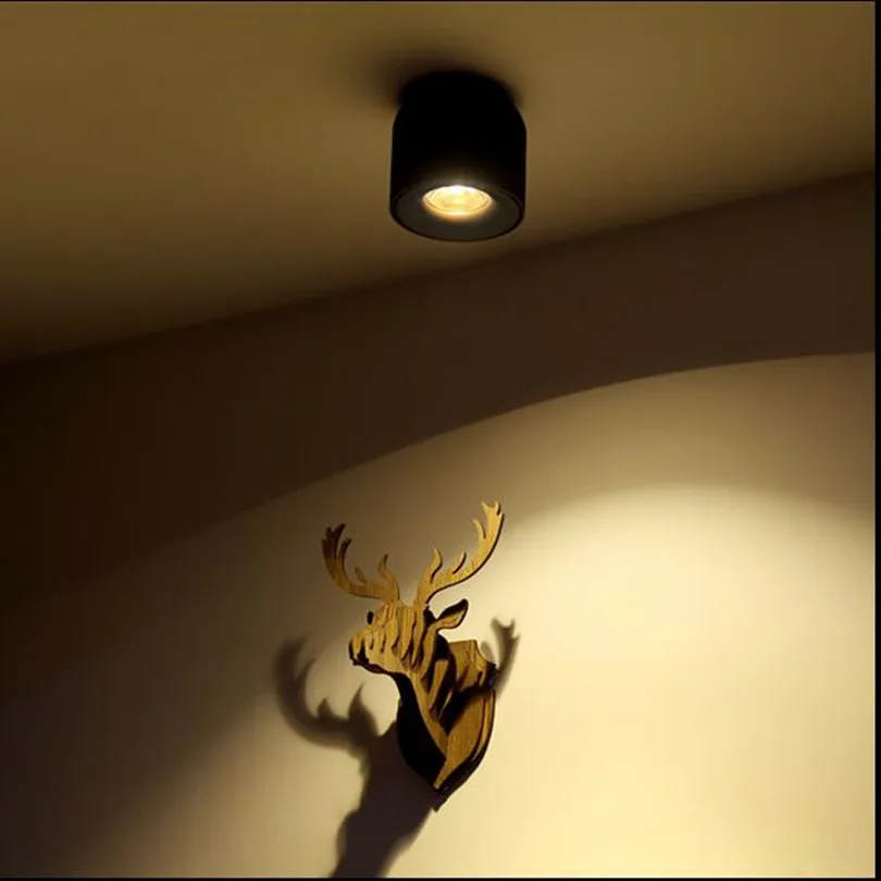 Fanlive 6PCS Surface Mounted 7W 10W COB LED Downlights LED Ceiling Lamp Down Light for Home Commerical Light AC85V-265V
Fanlive 6PCS Surface Mounted 7W 10W COB LED Downlights LED Ceiling Lamp Down Light for Home Commerical Light AC85V-265V