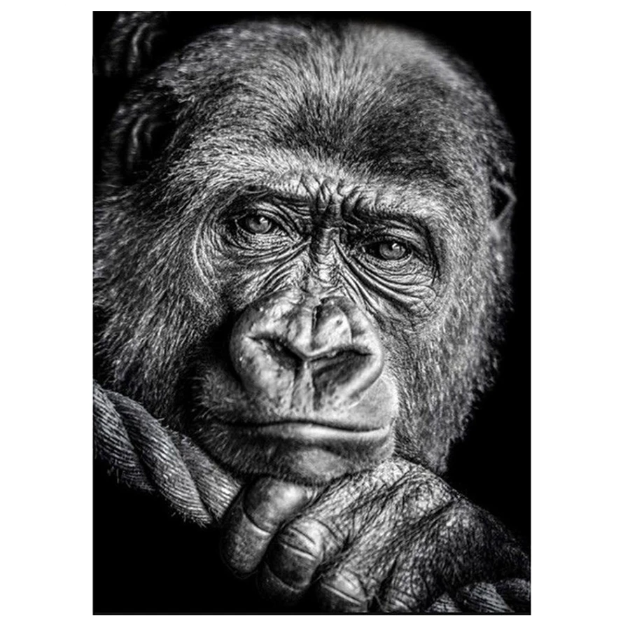 Черно белая Алмазная вышивка Gorilla 5D алмазная полностью квадратная круглая дрель