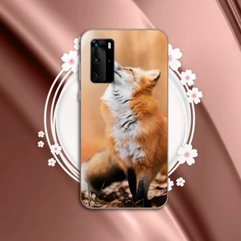 Fox cute animal Phone Case Transparent for Huawei P honor 8 10i 20 30 40 smart 2019
Fox cute animal Phone Case Transparent for Huawei P honor 8 10i 20 30 40 smart 2019