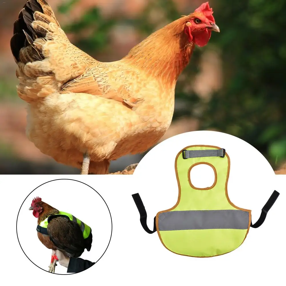 Adjustable Chicken Vest Pet Reflective Vest Chicken Clothes Poultry Hen Saddle Apron Feather Protection Holder For Chicken Duck
Adjustable Chicken Vest Pet Reflective Vest Chicken Clothes Poultry Hen Saddle Apron Feather Protection Holder For Chicken Duck