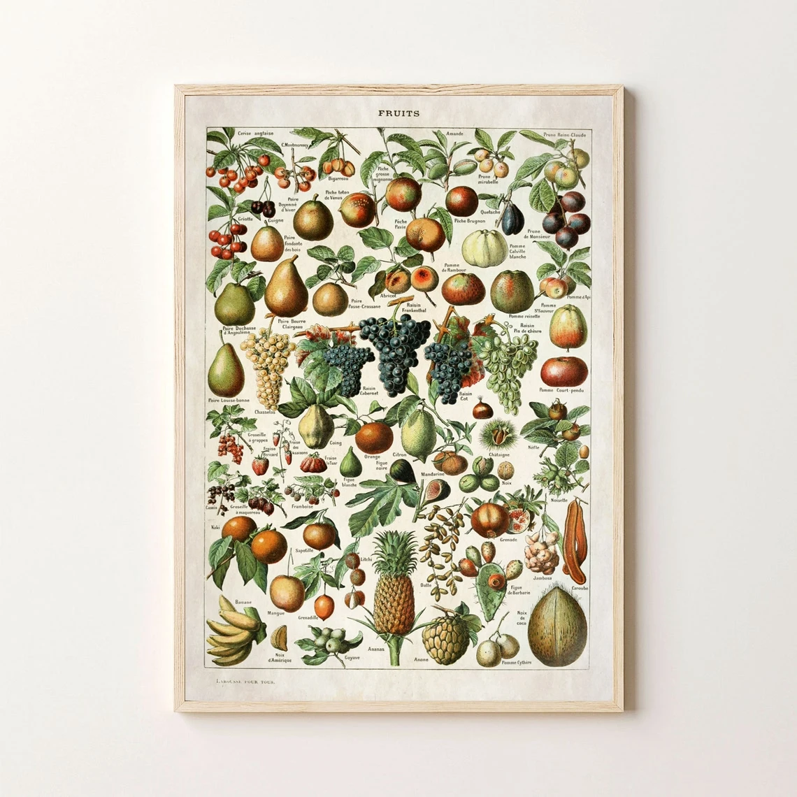 Винтажный женский Принт-винтажный рисунок с фруктами, тарелка-Декор-кухонное настенное искусство-цветочный сад, иллюстрация
Винтажный женский Принт-винтажный рисунок с фруктами, тарелка-Декор-кухонное настенное искусство-цветочный сад, иллюстрация