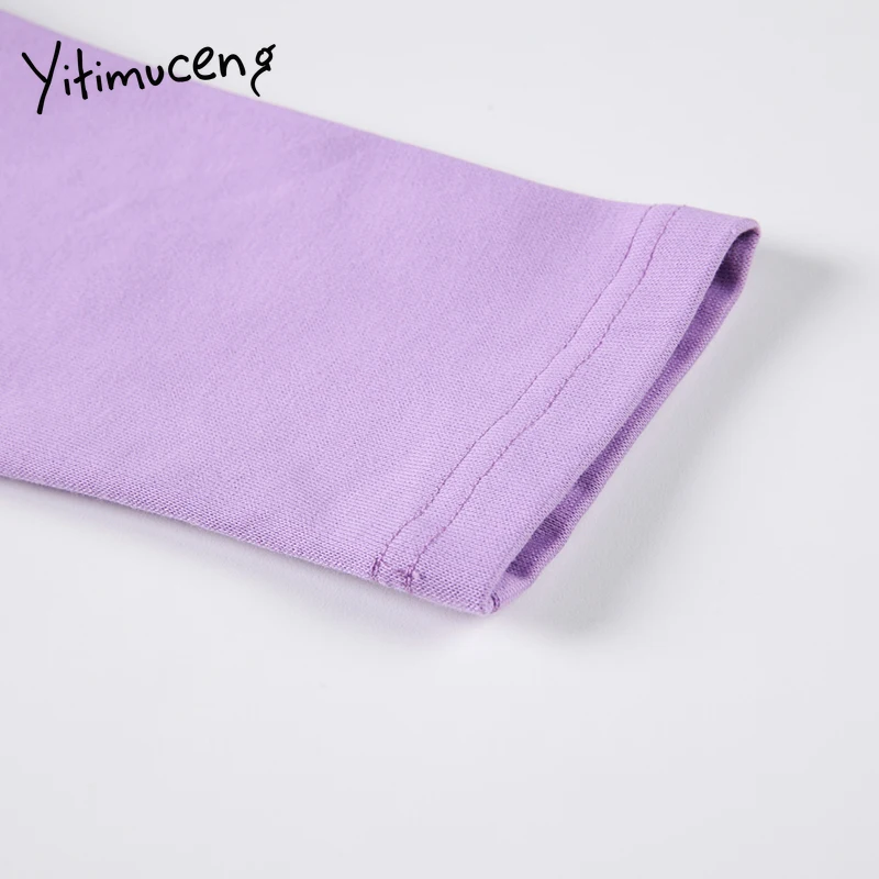 Yitimuceng Woman Tshirts Fake Two-piece Tees O-neck Long Sleeve Tops Spring Purple Patchwork Solid Clothing Fashion Comfortable
Yitimuceng Woman Tshirts Fake Two-piece Tees O-neck Long Sleeve Tops Spring Purple Patchwork Solid Clothing Fashion Comfortable
