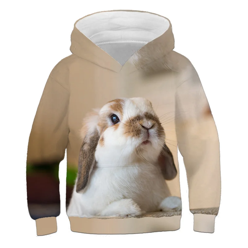 Children's 3d printing sweater rabbit pattern casual fashion pullover 2021 fall new style 4-14T
Children's 3d printing sweater rabbit pattern casual fashion pullover 2021 fall new style 4-14T