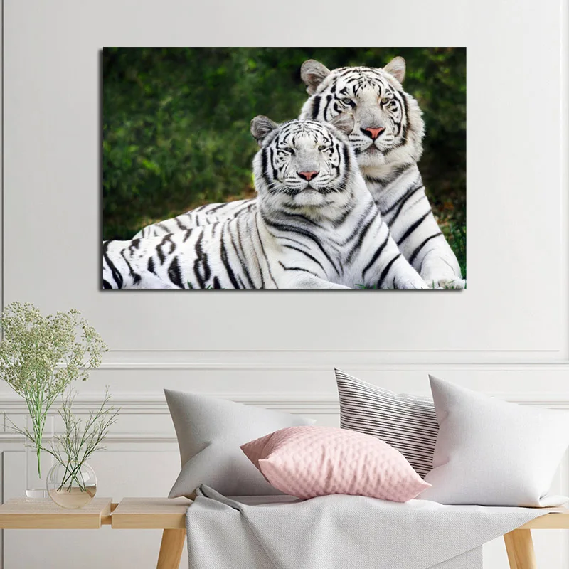 Two White Tigers Wall Art Canvas Wild Animal Posters Prints Painting Oil Wall Pictures Modern Living Room Home Decor Accessories
Two White Tigers Wall Art Canvas Wild Animal Posters Prints Painting Oil Wall Pictures Modern Living Room Home Decor Accessories