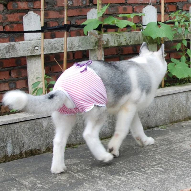 Dog Diaper Washable Physiological Pants Sanitary Dog Panties Shorts Underwear Briefs For Dogs Sanitary Panties
Dog Diaper Washable Physiological Pants Sanitary Dog Panties Shorts Underwear Briefs For Dogs Sanitary Panties