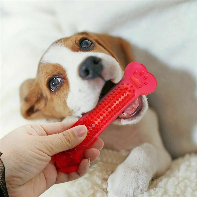 Indestructible Durable Dog Toys Chewers Rubber Bone Toy Toothbrush Doggy Puppy Dental Care For Pet Accessories Puzzle Game
Indestructible Durable Dog Toys Chewers Rubber Bone Toy Toothbrush Doggy Puppy Dental Care For Pet Accessories Puzzle Game