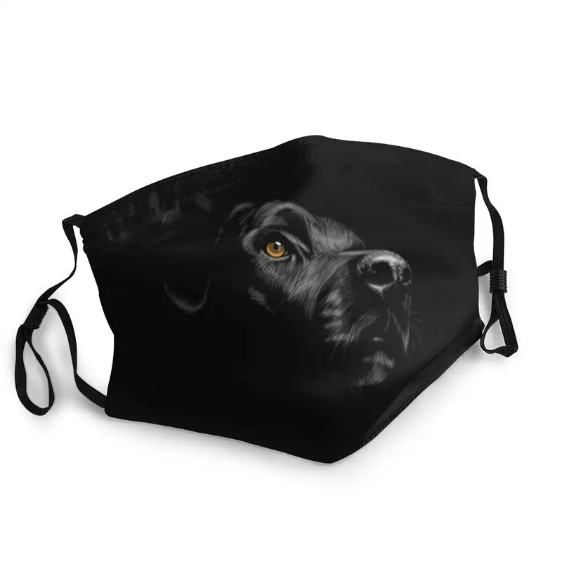 Black Labrador Retriever Mask Anti Haze Dustproof Non-Disposable Dog Face Mask Protection Cover Men Respirator Mouth Muffle
Black Labrador Retriever Mask Anti Haze Dustproof Non-Disposable Dog Face Mask Protection Cover Men Respirator Mouth Muffle