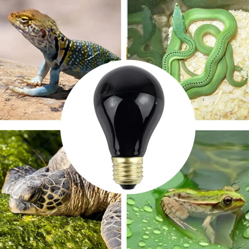 Infrared Moonlight Heat Lamps Pet Heating Light Bulb Black Emitter Heat Lamp for Reptile Animals new
Infrared Moonlight Heat Lamps Pet Heating Light Bulb Black Emitter Heat Lamp for Reptile Animals new