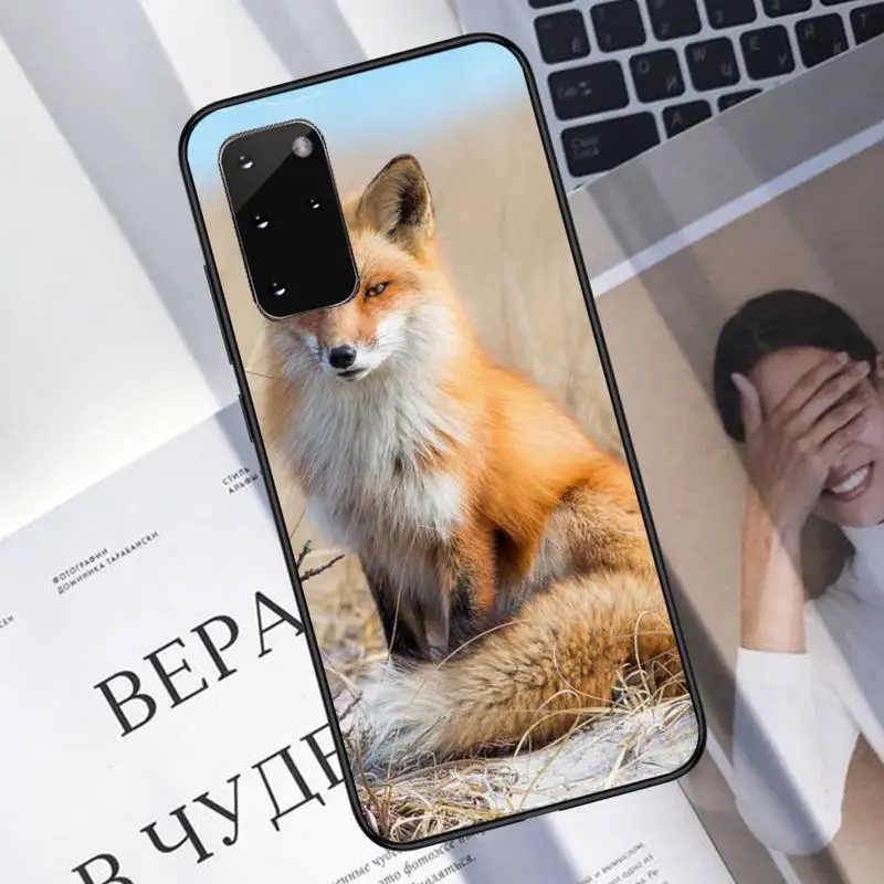 Cute Fox In Autumn Phone Case For Samsung A40 A31 A50 A51 A71 A20E A20S S8 S9 S10 S20 Plus note 20 ultra
Cute Fox In Autumn Phone Case For Samsung A40 A31 A50 A51 A71 A20E A20S S8 S9 S10 S20 Plus note 20 ultra