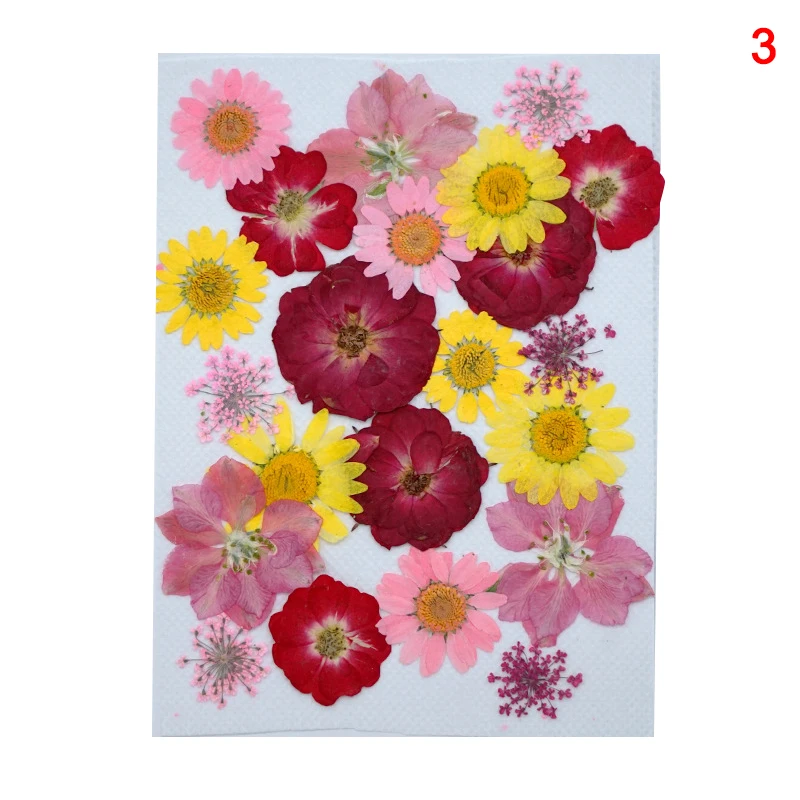 20-25 pcs / pack Real Dried Pressed Flowers Leaf Plant Mixed Colorful Flower Leaves Petals for DIY Crafts Make-up HK3
20-25 pcs / pack Real Dried Pressed Flowers Leaf Plant Mixed Colorful Flower Leaves Petals for DIY Crafts Make-up HK3