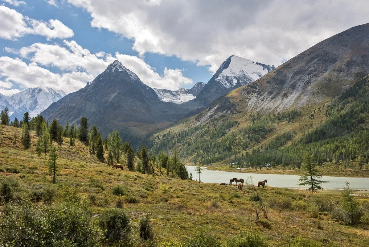 Diy Diamond Painting Beautiful Natural Scenery High Mountains and Snowy Mountains Melt Into Streams and Galloping Horse Mural
Diy Diamond Painting Beautiful Natural Scenery High Mountains and Snowy Mountains Melt Into Streams and Galloping Horse Mural