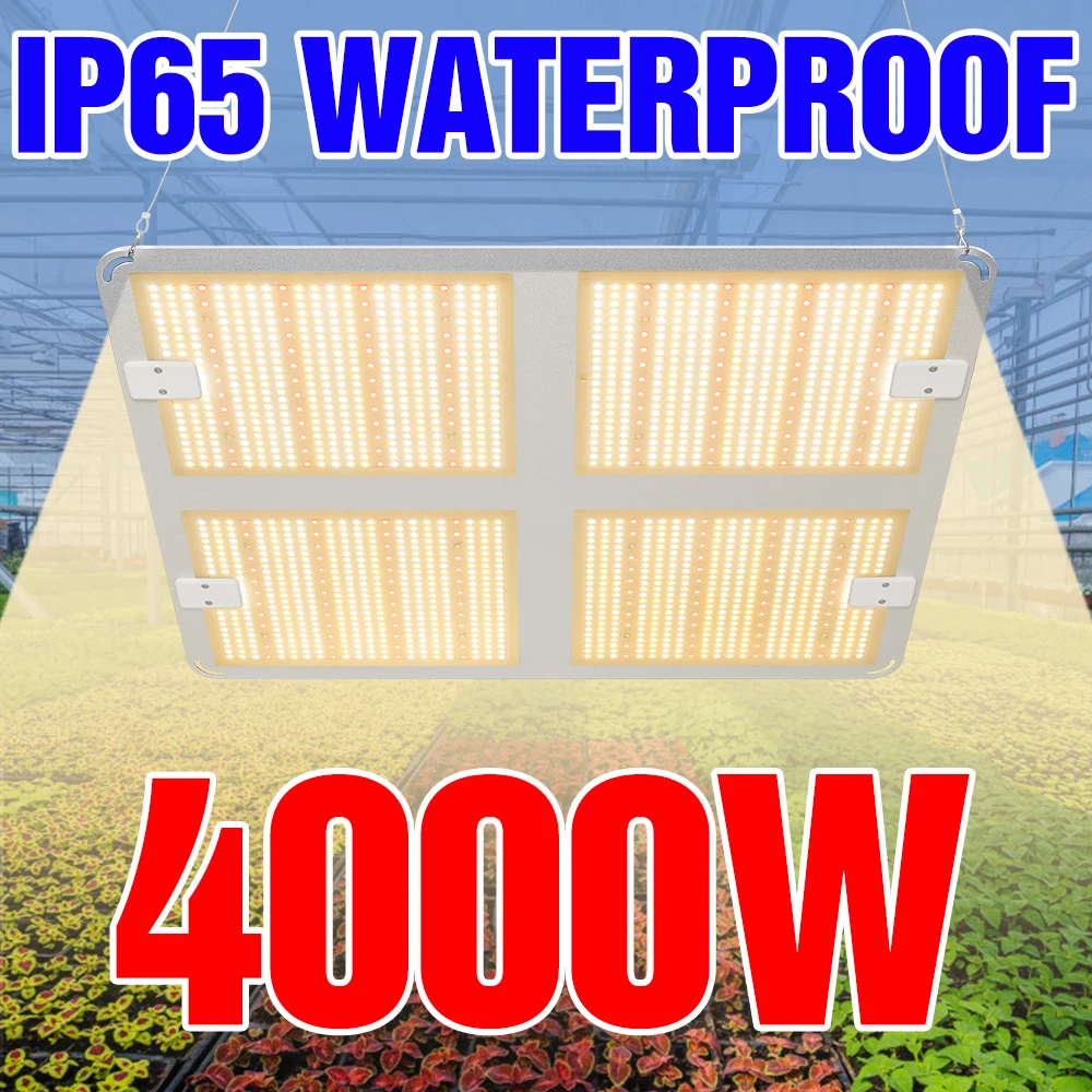 LED Grow Lights 4000W Indoor Phyto Lamp Full Spectrum Plant Grow Light 110V Plant Seedling Bulb 1000 2000W Growth Tent Lampara
LED Grow Lights 4000W Indoor Phyto Lamp Full Spectrum Plant Grow Light 110V Plant Seedling Bulb 1000 2000W Growth Tent Lampara