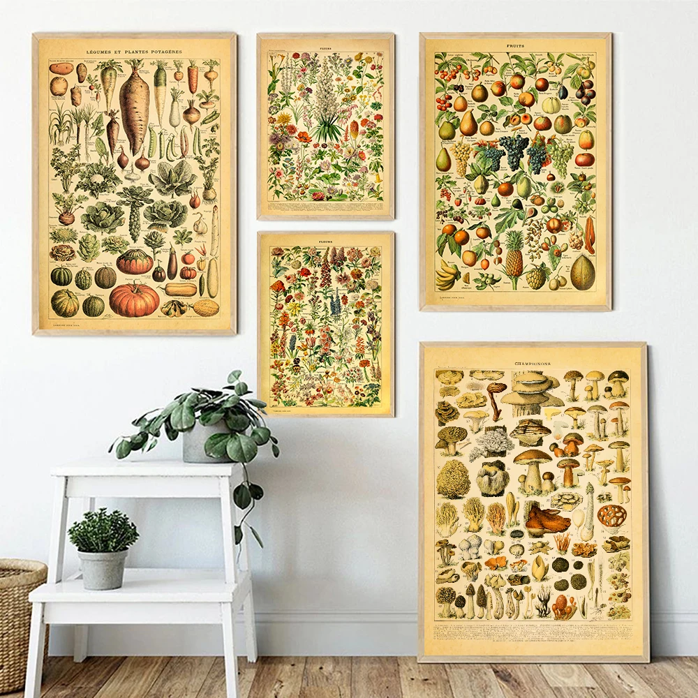 Vintage Flower Vegetable Fruit Mushroom Educational Posters And Print Plant Canvas Painting Wall Art Pictures Kitchen Home Decor
Vintage Flower Vegetable Fruit Mushroom Educational Posters And Print Plant Canvas Painting Wall Art Pictures Kitchen Home Decor