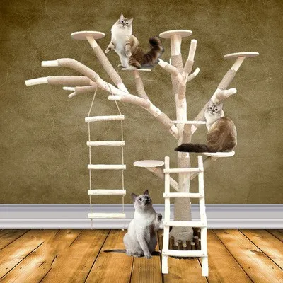 Imitation cat tree, rock climbing rack, fake tree, tree shape, nest, platform jumping, decorative cat toys.
Imitation cat tree, rock climbing rack, fake tree, tree shape, nest, platform jumping, decorative cat toys.