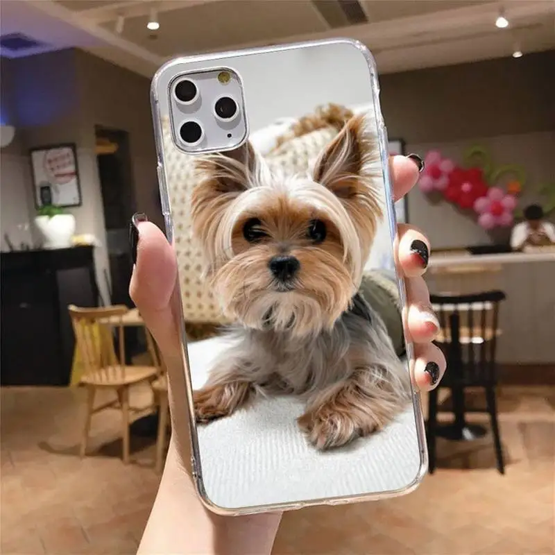 yorkshire terrier dog Phone Case Transparent for iPhone 6 7 8 11 12 s mini pro X XS XR MAX Plus cover funda shell
yorkshire terrier dog Phone Case Transparent for iPhone 6 7 8 11 12 s mini pro X XS XR MAX Plus cover funda shell