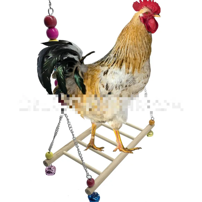 Large Parrot Pet Chicken Swing Chicken Swing Colored Beads Large Ladder Swing Bird Toys
Large Parrot Pet Chicken Swing Chicken Swing Colored Beads Large Ladder Swing Bird Toys