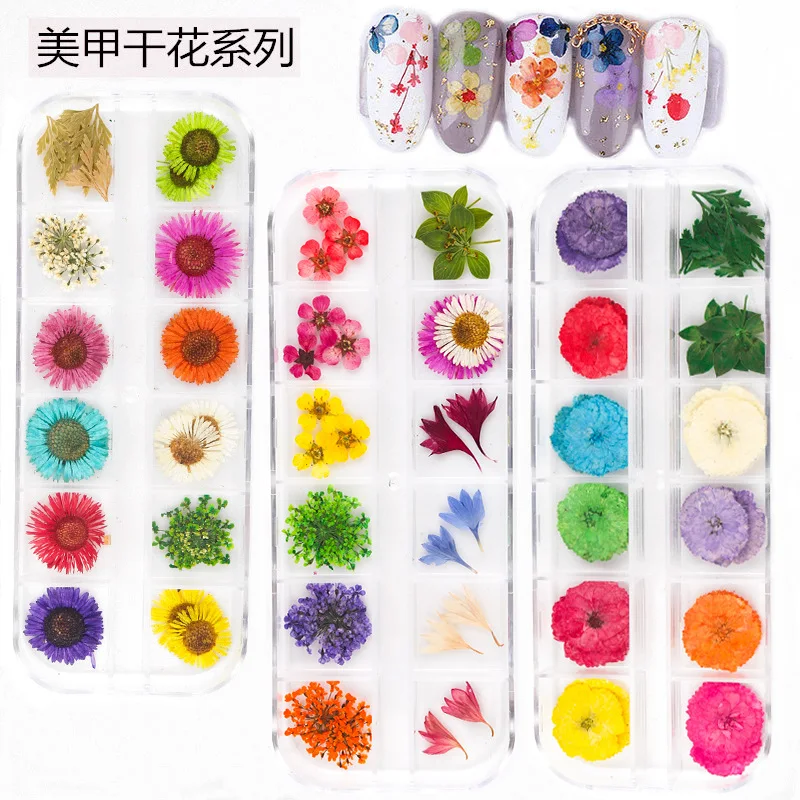 Nail Art Dried Flower Japanese Nail 3D Three-dimensional Lace Flower Hydrangea Daisy Set Nails Art Nail Art Decorations
Nail Art Dried Flower Japanese Nail 3D Three-dimensional Lace Flower Hydrangea Daisy Set Nails Art Nail Art Decorations