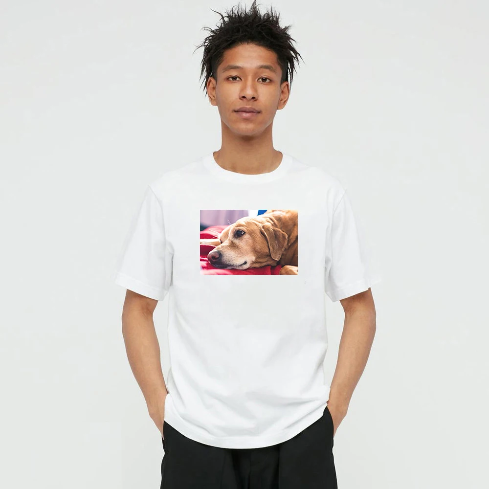 Summer Style Dog photo 100% cotton Men's and Women's T-shirt casual O-Neck T-shirt short sleeve tees T-shirt for men 10B10W
Summer Style Dog photo 100% cotton Men's and Women's T-shirt casual O-Neck T-shirt short sleeve tees T-shirt for men 10B10W