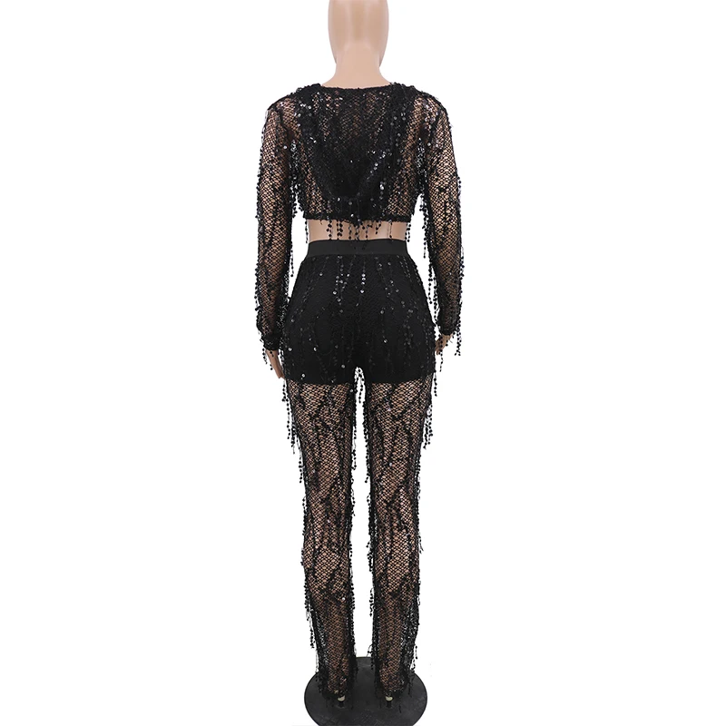 Mesh See Through Sequined Sexy Two Piece Matching Set Women Deep V Neck Hooded Crop Top + Plus Size High Waist Floor-Length Pant 
Mesh See Through Sequined Sexy Two Piece Matching Set Women Deep V Neck Hooded Crop Top + Plus Size High Waist Floor-Length Pant