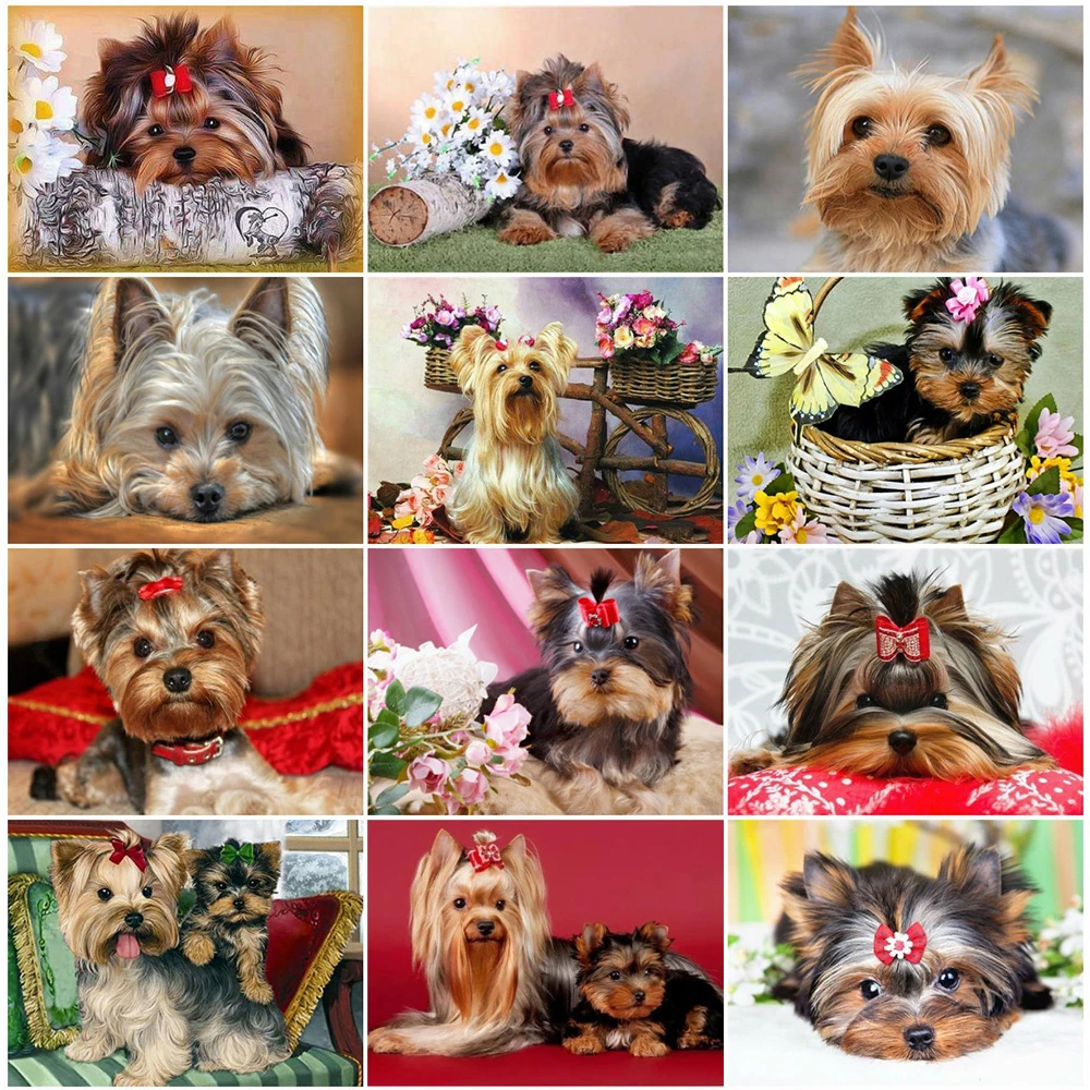 Royal Secret 5d Round Diamond Embroidery Dog Diamond Mosaic Picture Rhinestones Diamond Painting Yorkshire Terrier Beaded Art
Royal Secret 5d Round Diamond Embroidery Dog Diamond Mosaic Picture Rhinestones Diamond Painting Yorkshire Terrier Beaded Art
