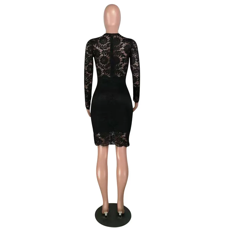 Sexy Club Perspective Lace Dress Women Deep V-Neck High Waist Bandage Dress Elegant Ladies Long Sleeve Bodycon Midi Party Dress
Sexy Club Perspective Lace Dress Women Deep V-Neck High Waist Bandage Dress Elegant Ladies Long Sleeve Bodycon Midi Party Dress